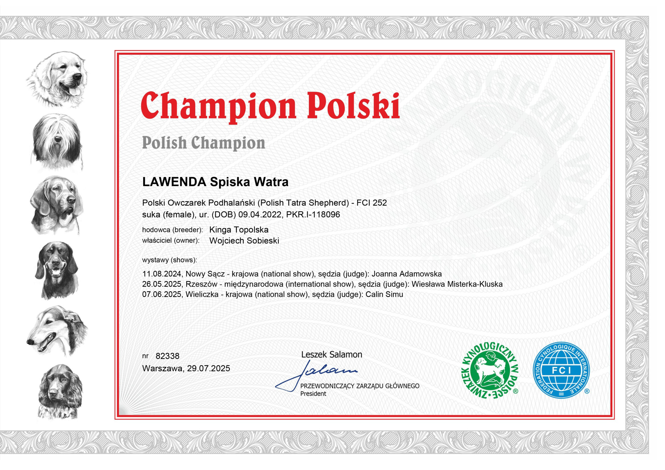 Champion Polski – LAWENDA Spiska Watra | Zwycięzca Rasy i BIS Ras Polskich