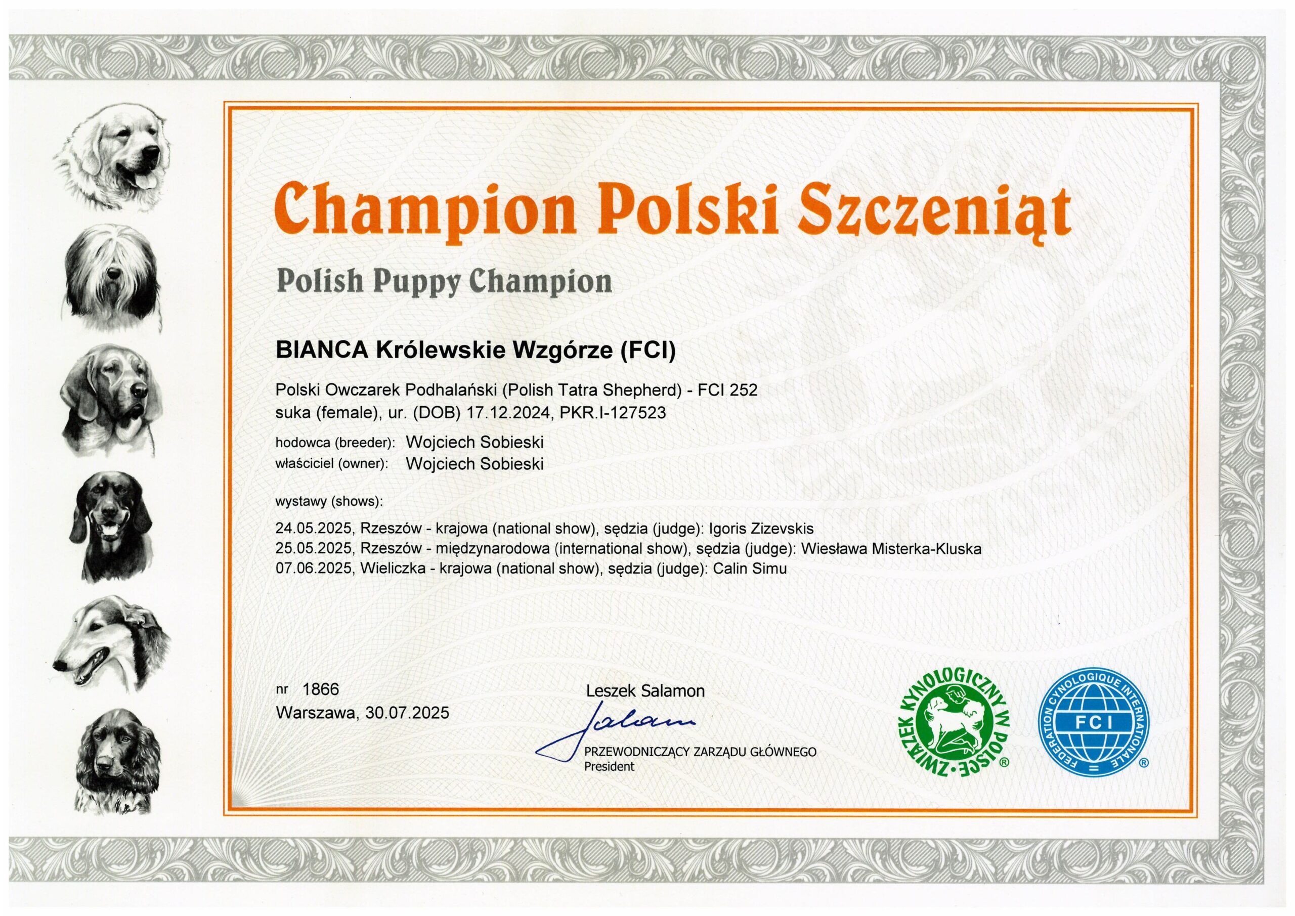 Bianca Królewskie Wzgórze – Champion Polski Szczeniąt! 🏆🐾