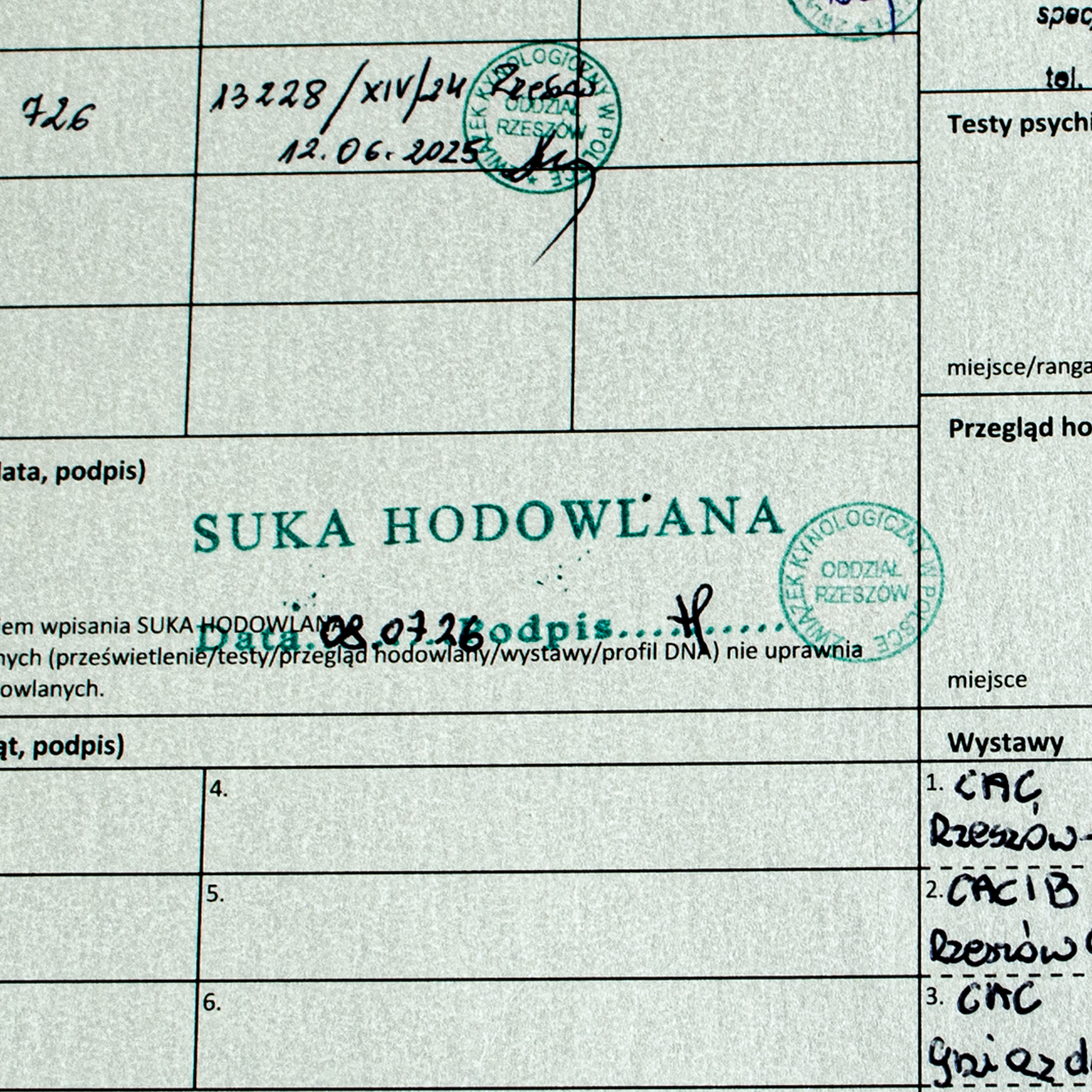 BIANCA Królewskie Wzgórze oficjalnie Suką Hodowlaną!