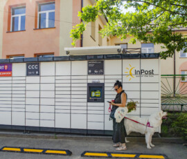 Polski owczarek podhalański Bianca czeka grzecznie przy Paczkomacie InPost ze swoją właścicielką